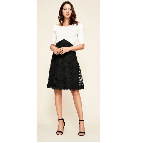 white christmas dresses Tadashi Shoji Women's Burgess Embroidered Lace Dress main image 1